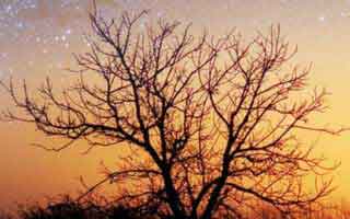 视频号能买粉吗怎么刷,视频号买粉的利弊分析及其应对策略!