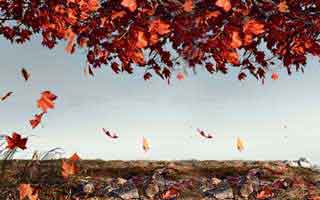 b站刷粉网站,在当今互联网发展火热的时代，B站已成为广大年轻人的重要社交媒体平台之一。无论是创作者还是企业，获取粉丝的关注度与提高账号权重至关重要。但是，正当越来越多的人们寻求迅速提高粉丝数量的时候，市面上出现了一些所谓的“B站刷粉网站”。本文旨在深入探讨这些现象背后的真实情况，为广大用户提供关于B站刷粉的思考和分析。请慎用甚至适度参与B站刷粉操作之余了解其基本法则与其可行性背后所涉及的实质。我们希望您的网络环境如同春日的花朵一般真实与丰富多彩，而不是空中楼阁的幻想世界。!