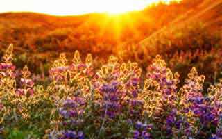 视频号如何区别是不是刷的粉,视频号如何区别是不是刷的粉？!