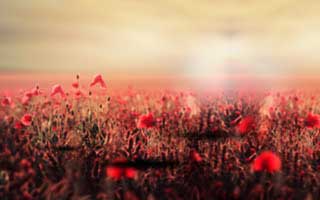 微博购买粉丝头条